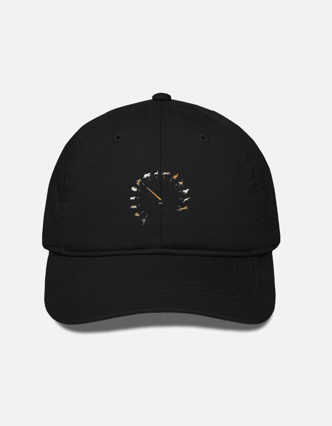 BaseBall Cap